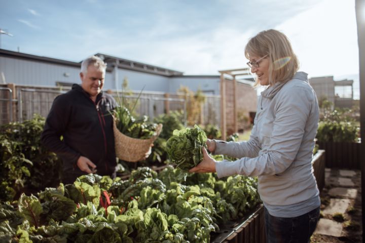 Community farms and veggie gardens are adding value to new housing ...