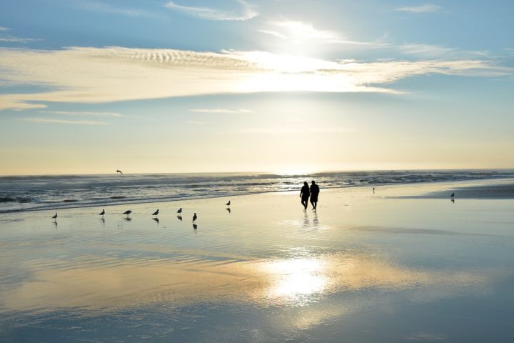 Taking the 'fun' out of super fund: The risks of self-managed superannuations