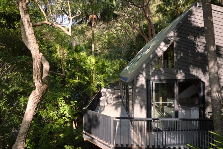 How a century-old angophora tree reshaped this Pearl Beach house renovation