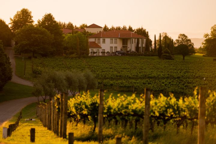 Live the vineyard dream at this Yarra Valley estate