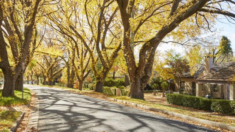 Top 10 best autumnal homes for sale in Canberra