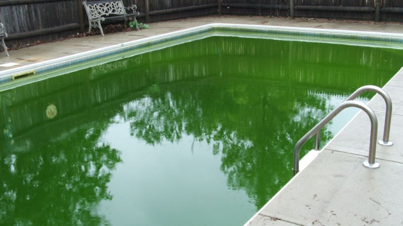 green to blue pool cleaner