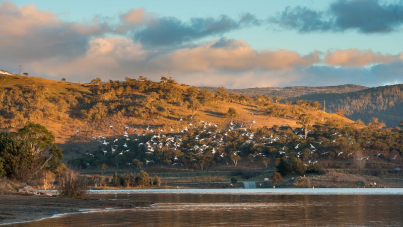 Jindabyne: Does this town have 'the perfect mix of country charm and ...