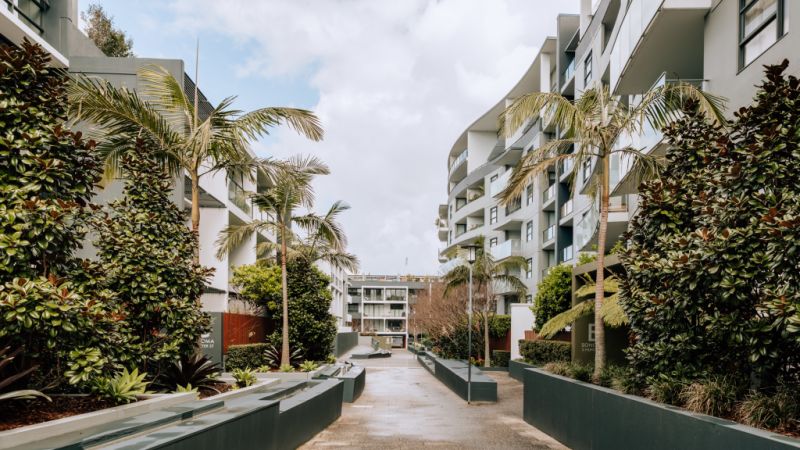 Could this be Sydney's most convenient and affordable inner-city 'burb?
