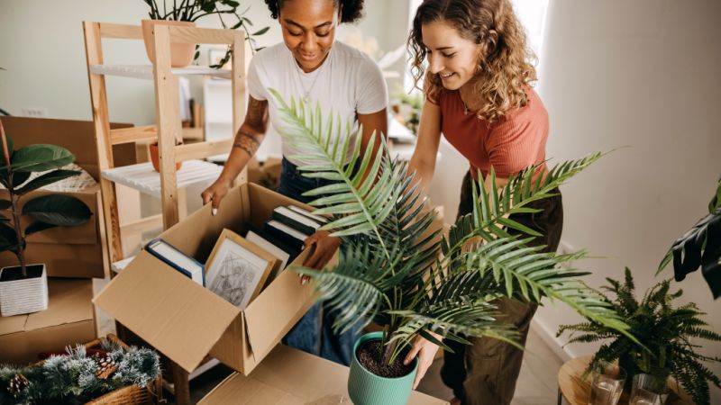 How To Convince Your Friends To Help You Move   IStock 1351718972 Srew2t 