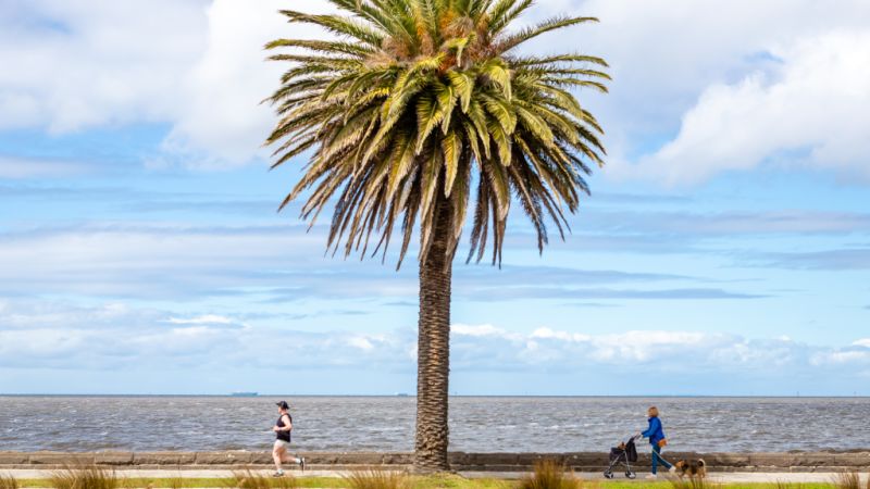 The inner-city Melbourne 'burb that's almost too-good-to-be-true