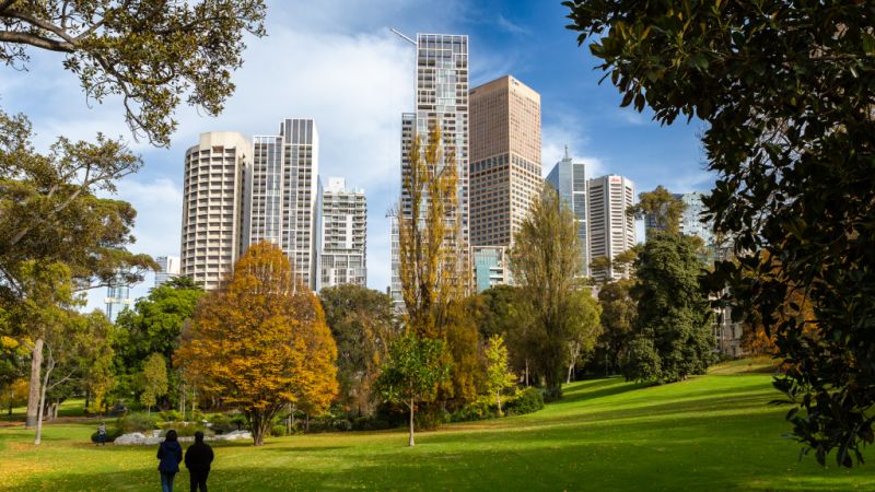 Why you 'you can’t go wrong' in this affluent pocket of Melbourne