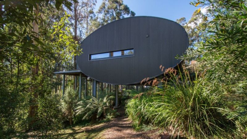 Snakes and charred logs are behind the design of this $1.8m tube house