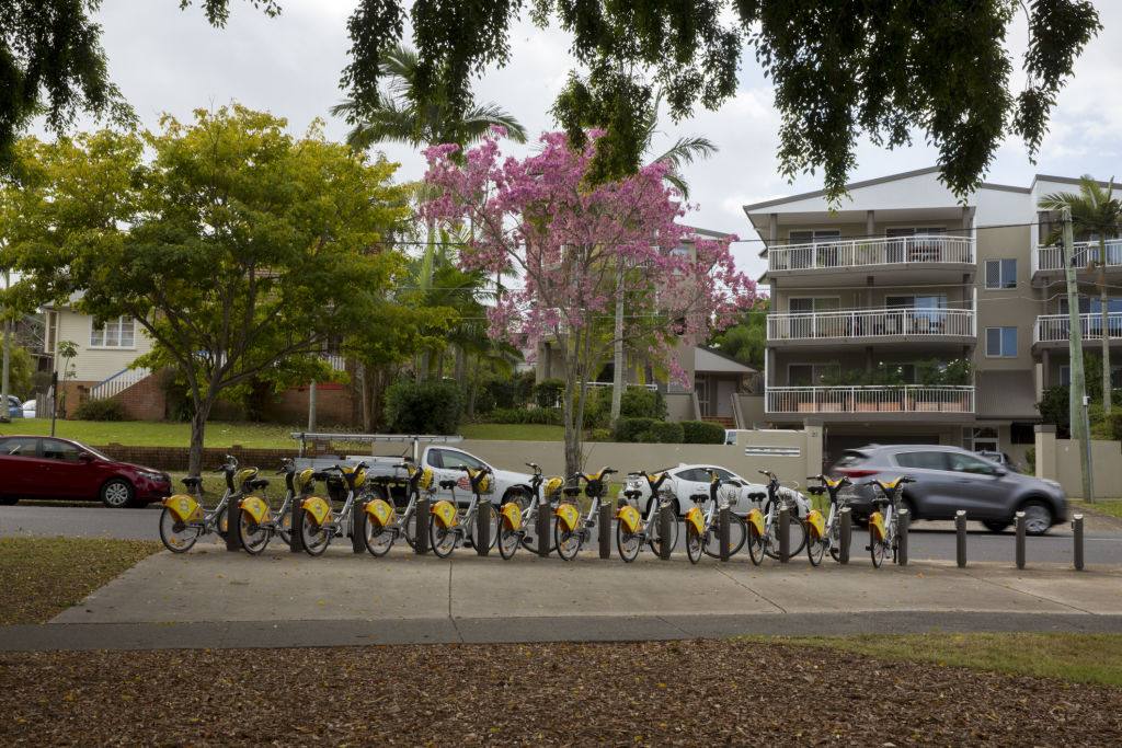 West End is one of the most walkable suburbs in Brisbane. Photo: Tammy Law Photo: Tammy Law