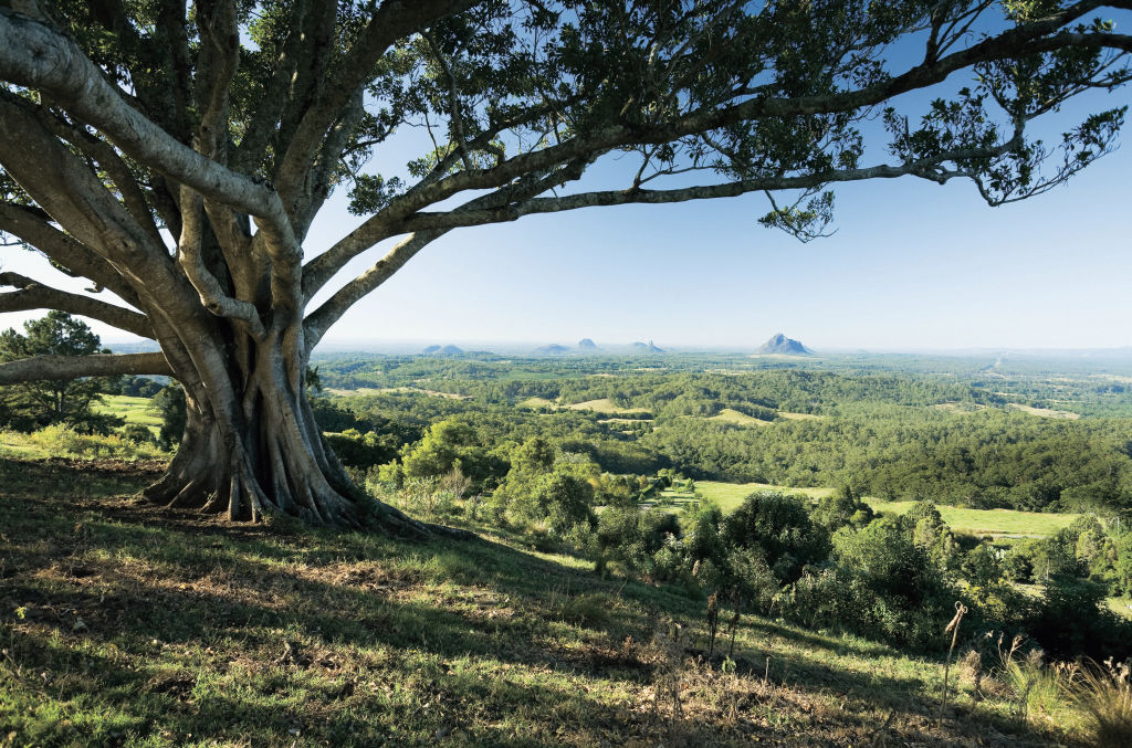 A scenic view of Noosa Hinterland in Queensland. Photo: Ezra Patchett / Tourism and Events Queensland