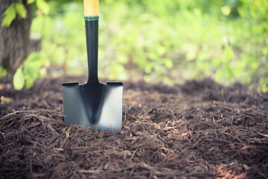Your compost will smell like rotten eggs when it's growing without oxygen. Photo: iStock Photo: iStock