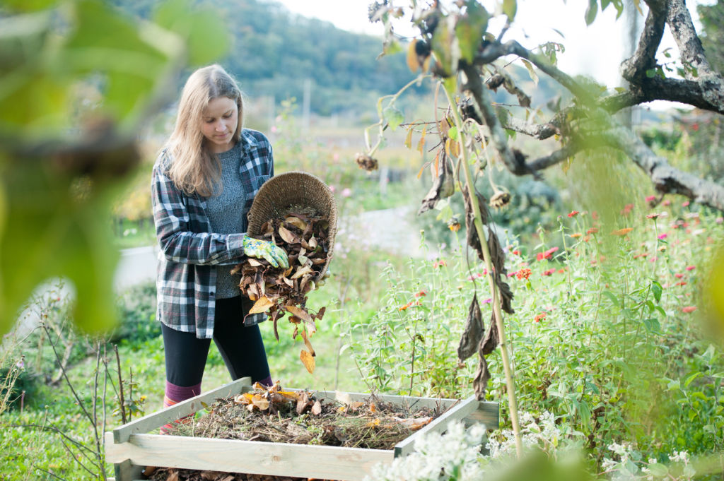Compost, if it's well made, should smell earthy but not unpleasant. Photo: iStock