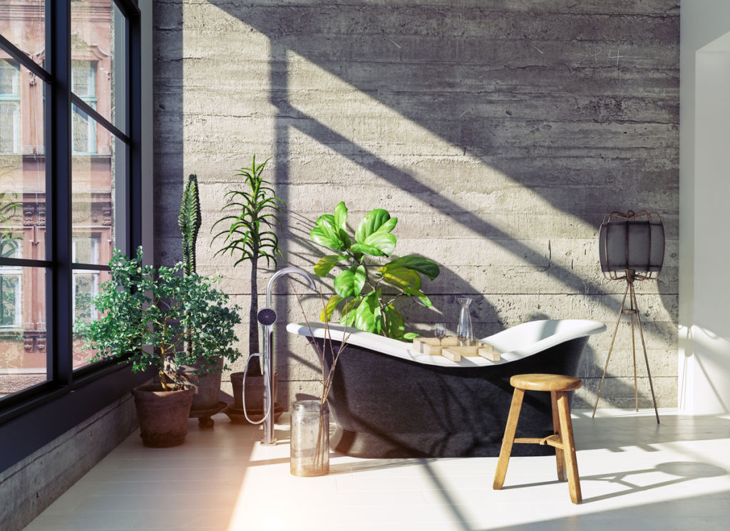 Mould often grows in untouched bathrooms. Photo: iStock
