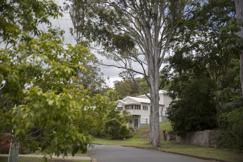 Inner-city favourite Bardon has a healthy auction market because its clearance rate and volume of auctions are both strong. Photo: Tammy Law