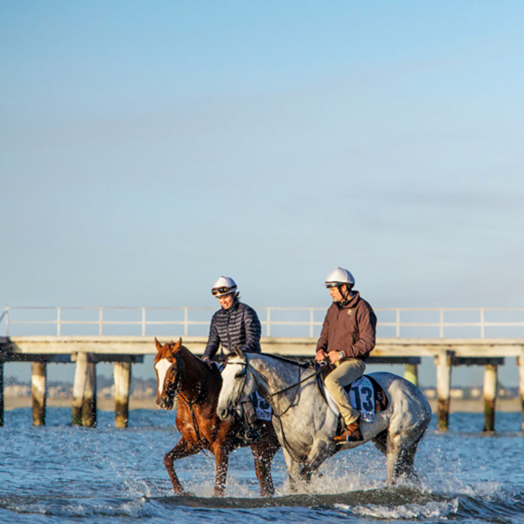 Francesca Cumani and her brother, trainer Matt Cumani, working horses at Altona beach. Photo: Jason South. Photo: undefined