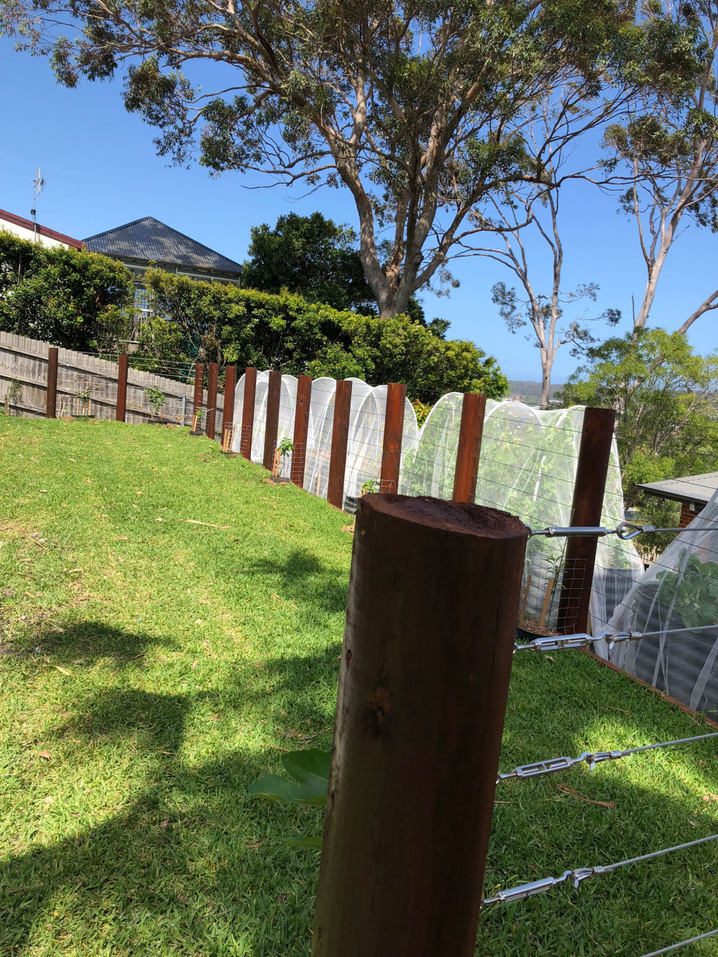 A flattened backyard. Photo: undefined