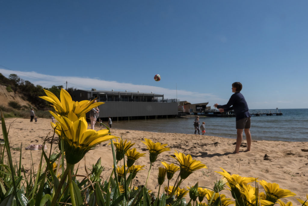 Canadian Bay Beach is a hot spot for families. Photo: Leigh Henningham.