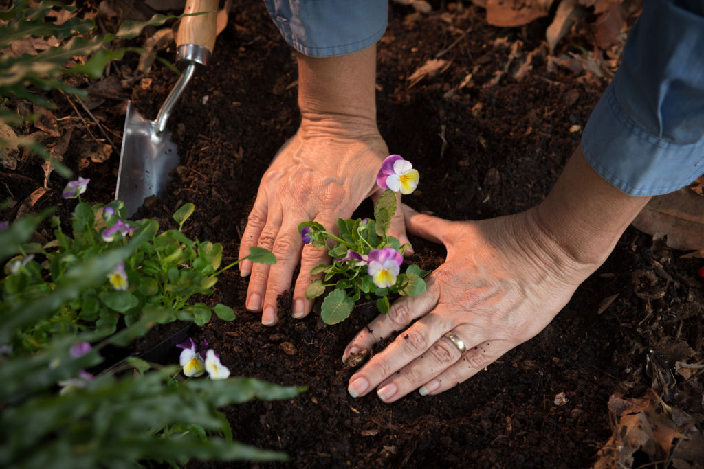 Clear weeds as they compete with other plants for moisture. Photo: iStock