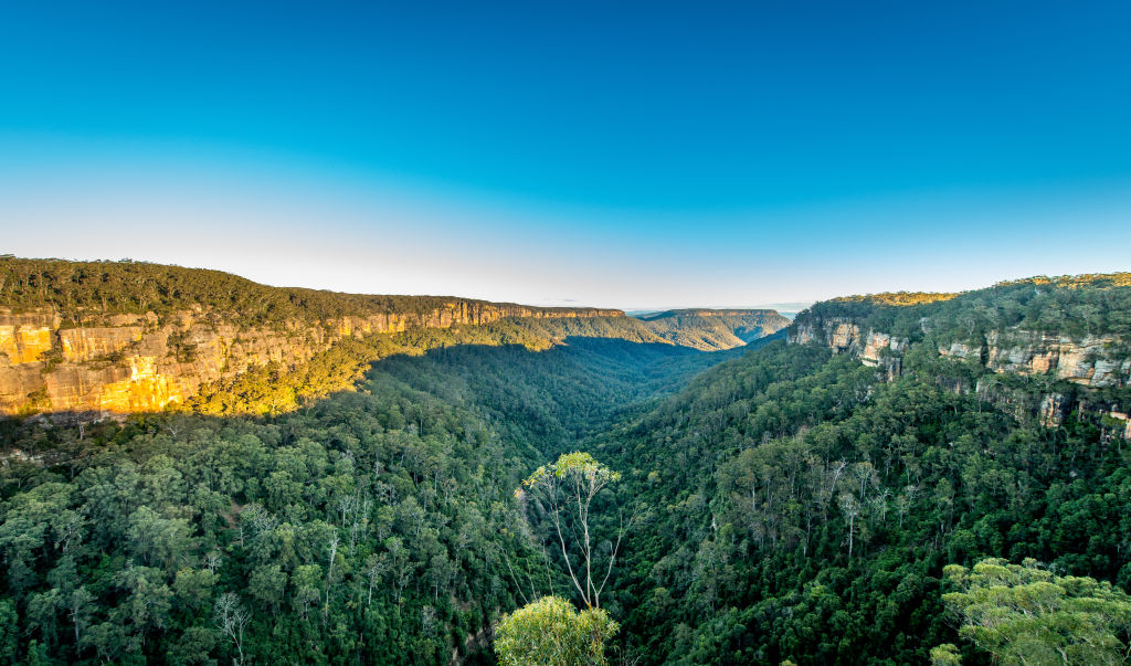 Bushland near Moss Vale in the Southern Highlands, NSW. Photo: iStock