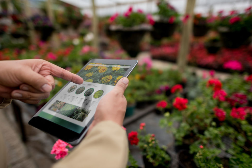 Don't have a green thumb? There are some apps to help with that. Photo: iStock