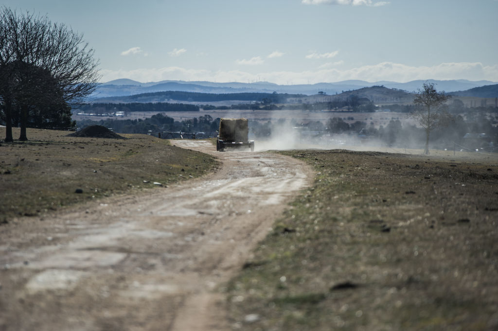 Drought has affected the town. Photo by Karleen Minney.