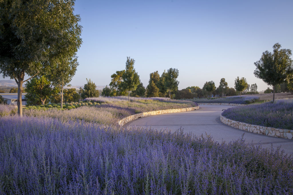 Paul Bangay's garden at Barossa Winery. Photo: Simon Griffiths Photo: Simon Griffiths