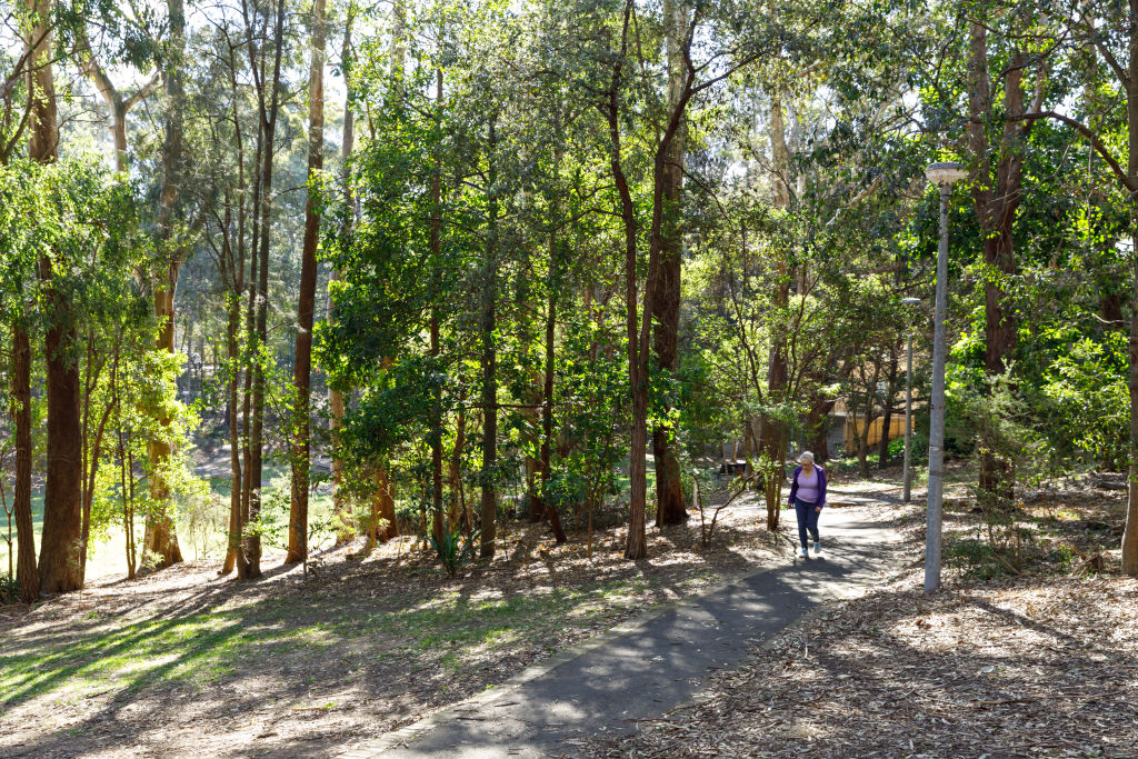 Helen Street Reserve is one of the green scenes putting Lane Cove on the map as a tree-change destination. Photo: Steven Woodburn Photo: Steven Woodburn