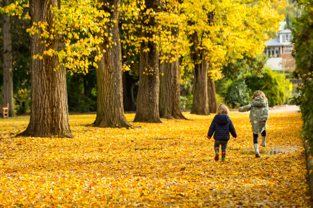 The Albury Botanic Gardens: The city has been promised $3.2 for the planning of a City Deal.