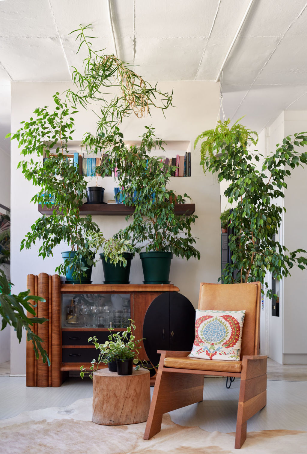 Plants can help shade the home from the heat. Photo: Stocksy