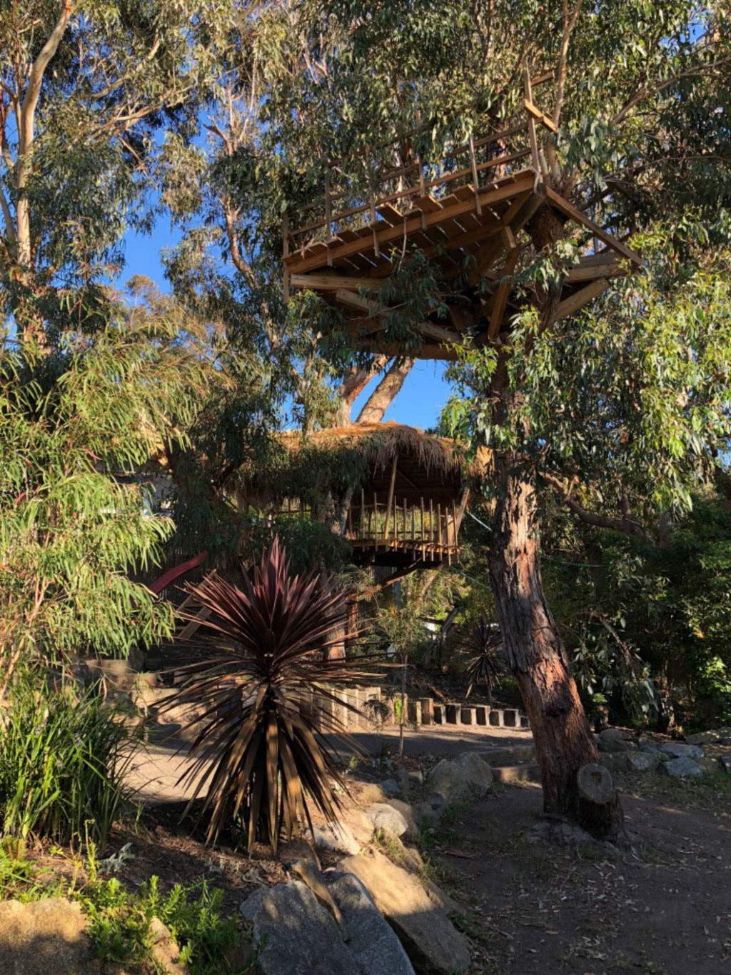 The treehouse is three-tiered. Photo: Ms Jane