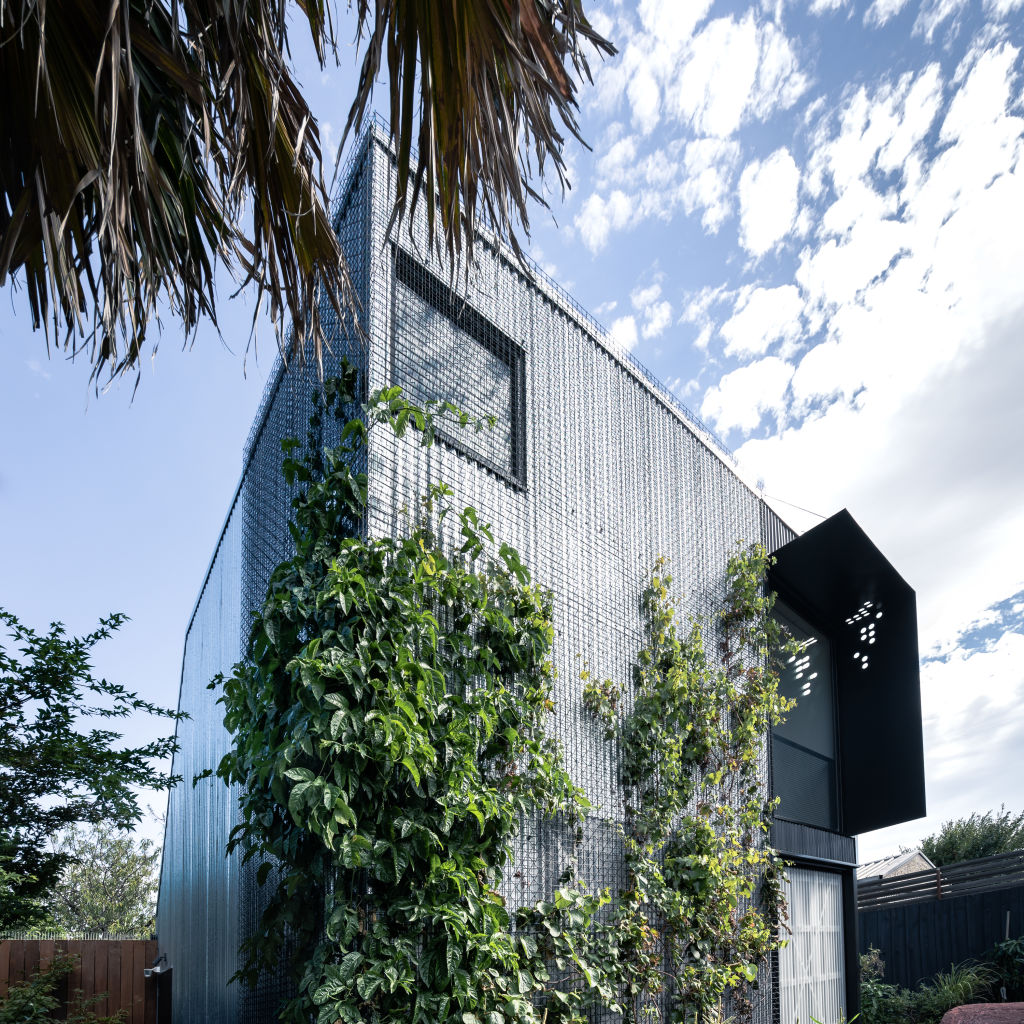 The owners have capitalised on the building's exterior to grow food. Photo: MO-DO