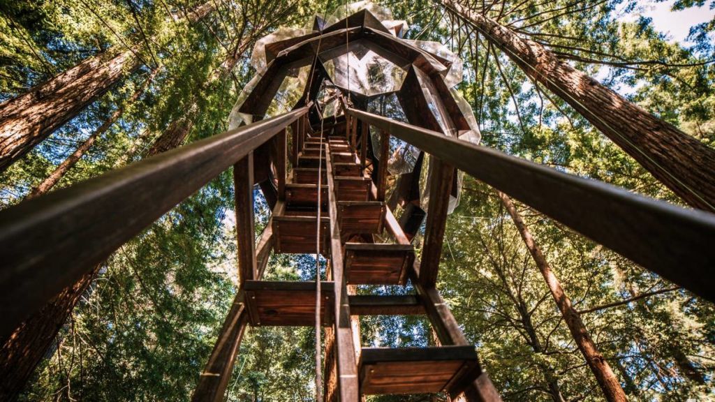 An extra-long ladder provides access.  Photo: Alissa Kolom