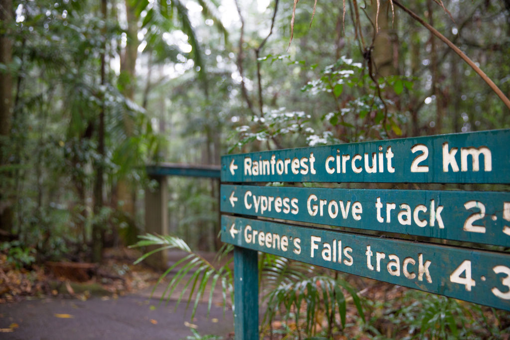 Walking tracks in Mount Glorious are a short drive away. Photo: Visit Moreton Bay Region Photo: Visit Moreton Bay Region
