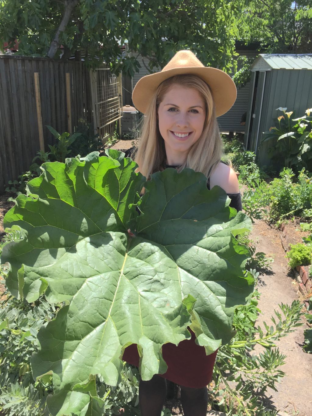 Morgan Koegel and her giant rhubarb harvest.