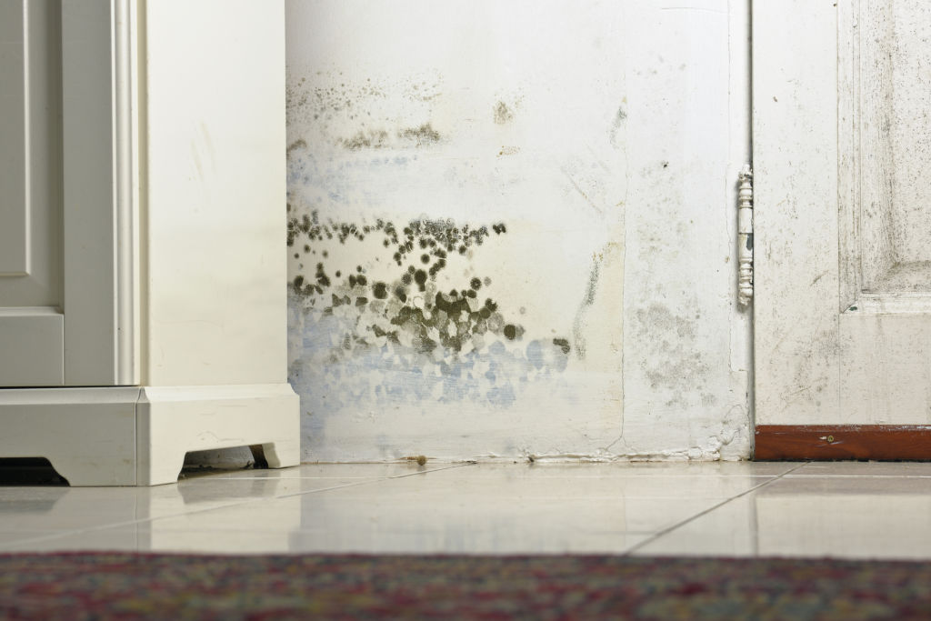 Mould patches may be hidden behind furniture.