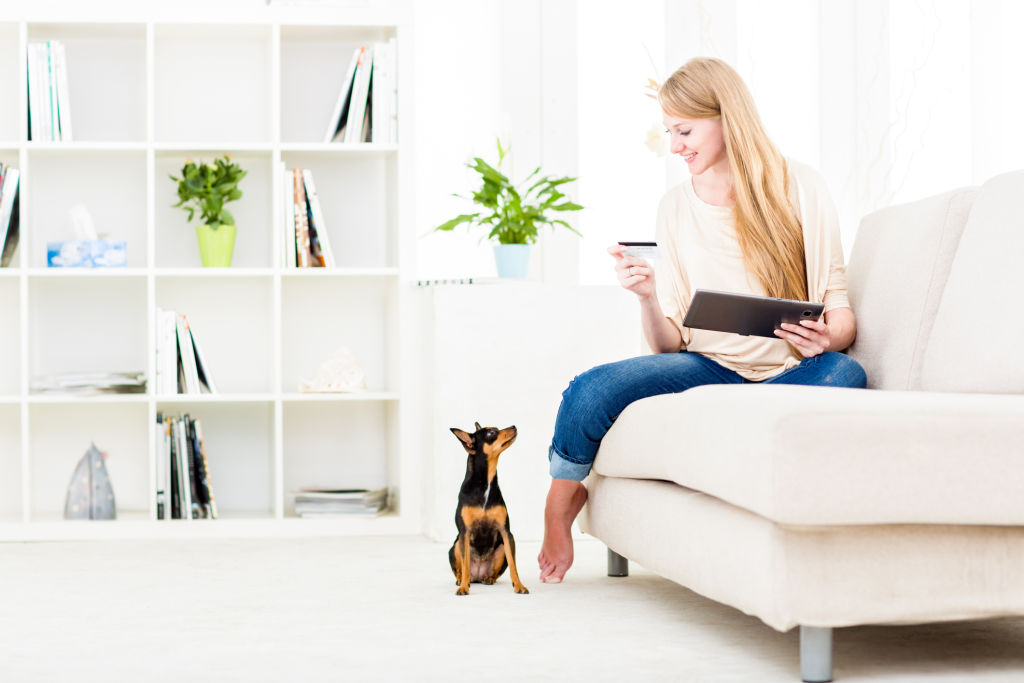 Mad Paws says you can potentially earn an extra $1600 per month pet sitting.  Photo: iStock