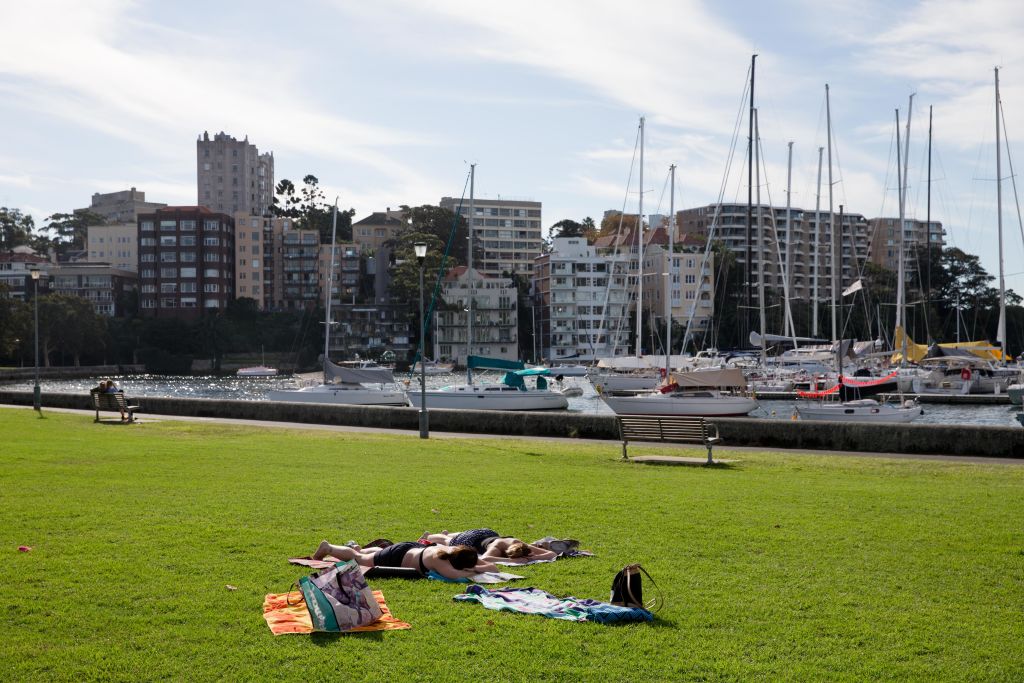 Rushcutters Bay Park, where plans for a skate park appear to have been halted. Photo: Harry Zwartz