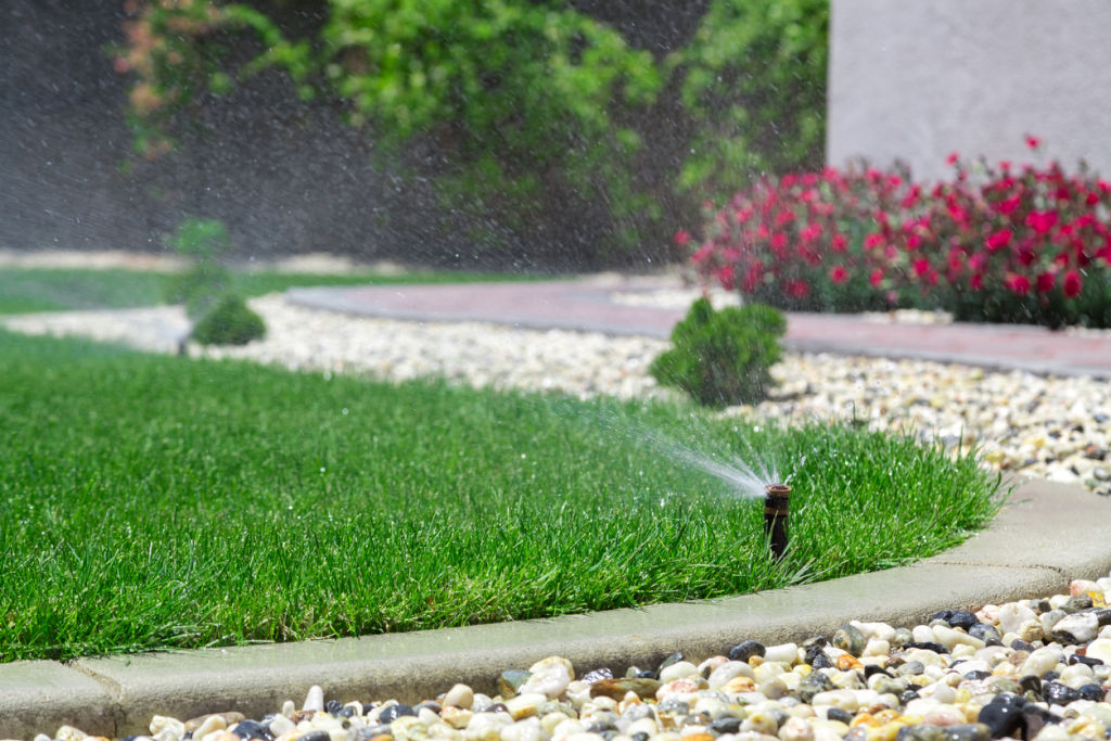 You don’t need to give up your day job to have a nice lawn. Photo: iStock