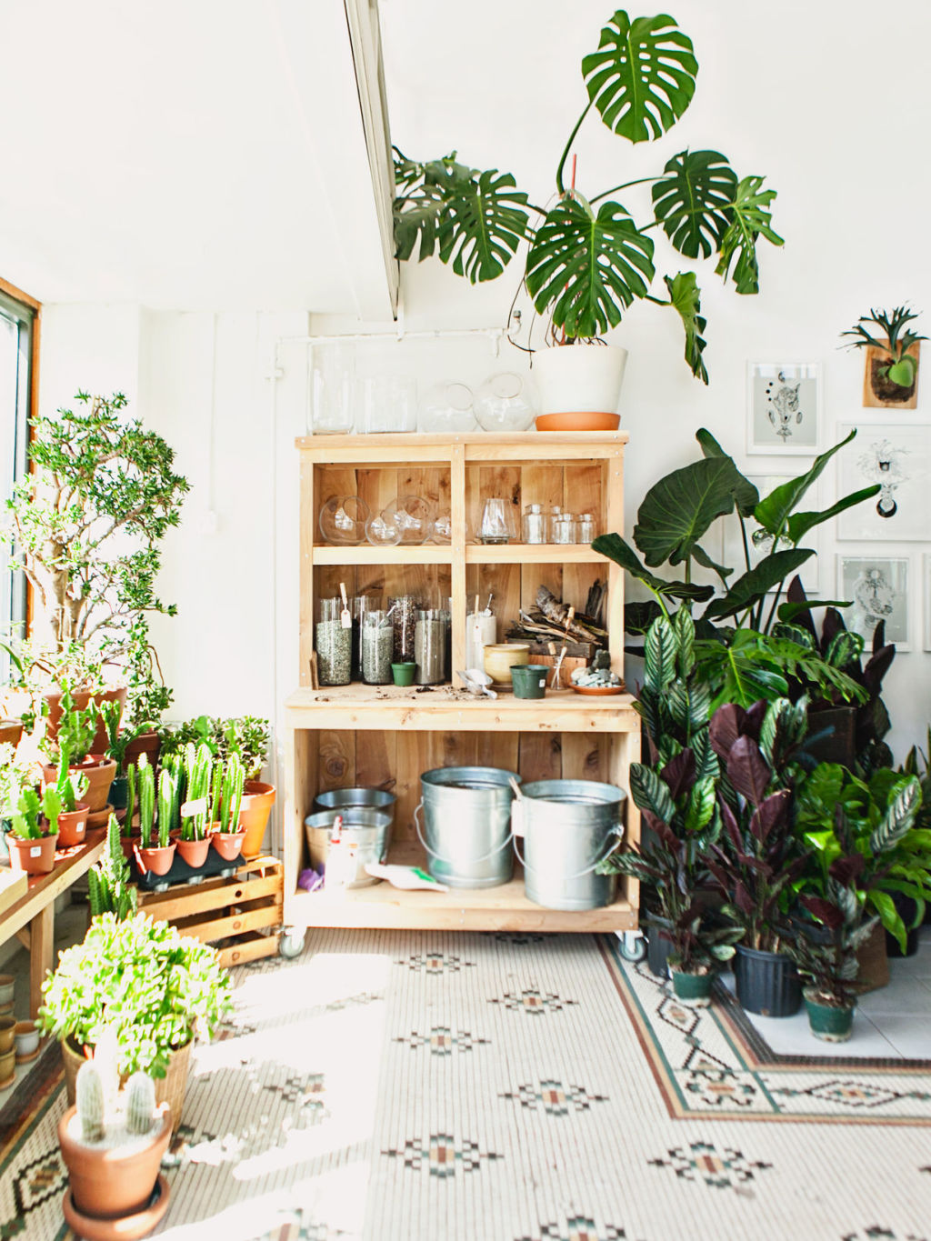 It's time to take a look at your indoor plants. Photo: Stocksy