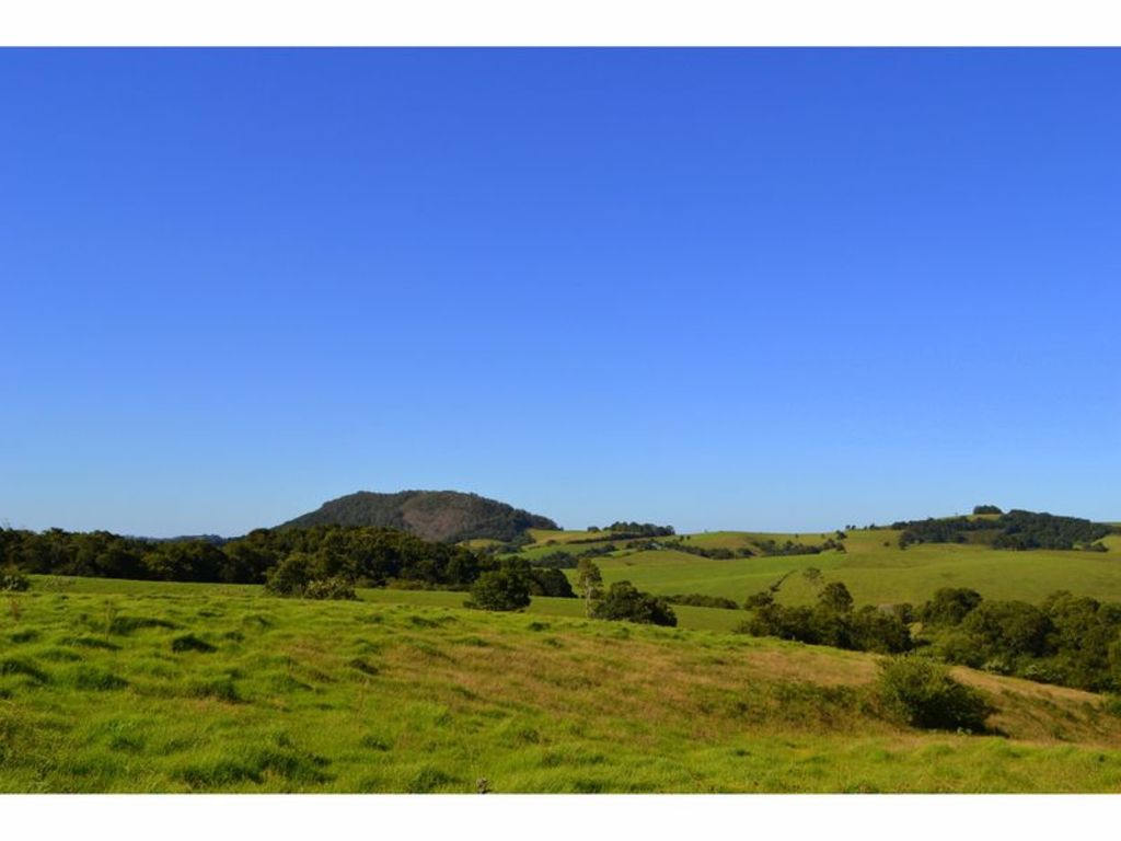 Dr Ken Henry and his wife Naomi bought 47 hectares in Comboyne near Port Macquarie.