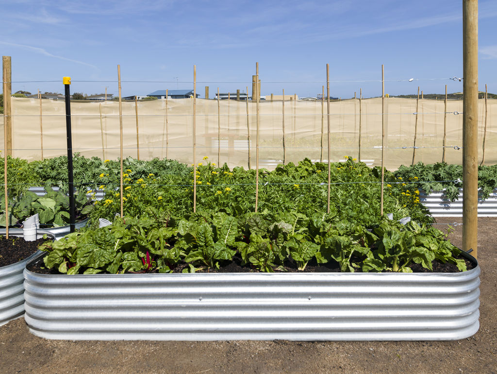 An urban farm at The Cape. Photo: Supplied