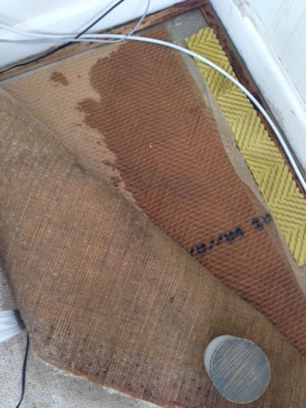 Water leaks and damage on the floor and through the carpet. Photo: Supplied