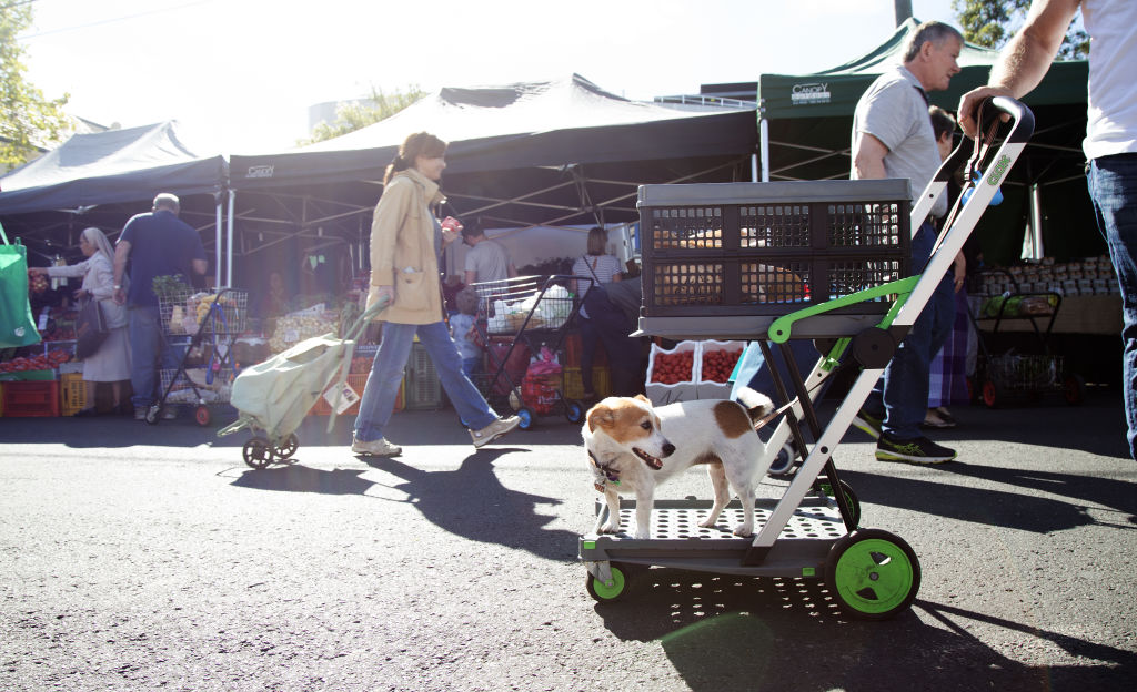 Richmond Saturday farmers market. Photo Leigh Henningham.