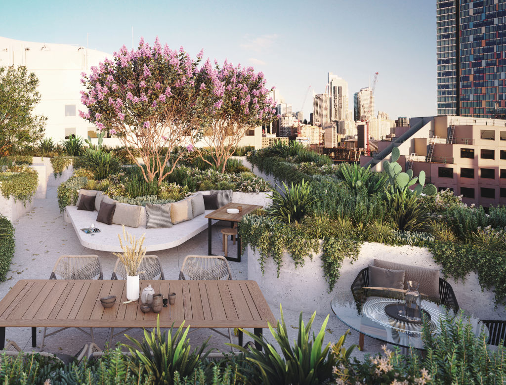 360 Degrees Landscape Architects created the rooftop terrace garden, which has panoramic city views. Photo: Supplied