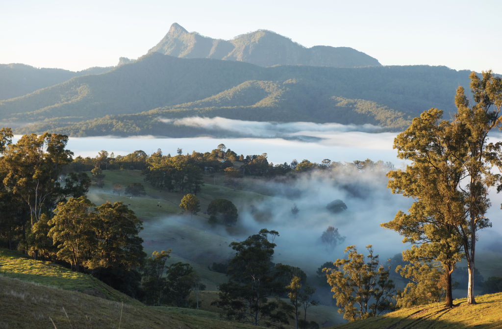 Mount Warning in the Tweed Range, gathered in morning mist. Photo: Destination NSW