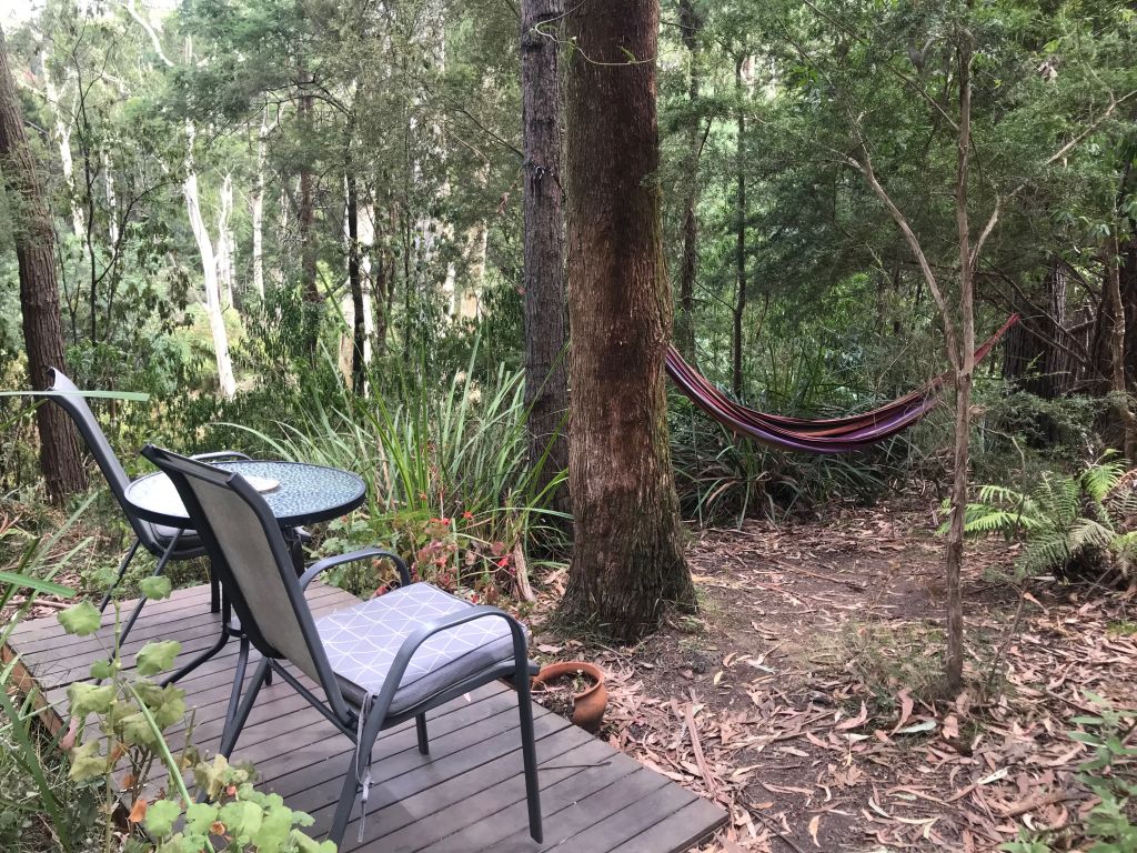 A hammock, perfect for looking up at the tree canopy. Photo: Supplied