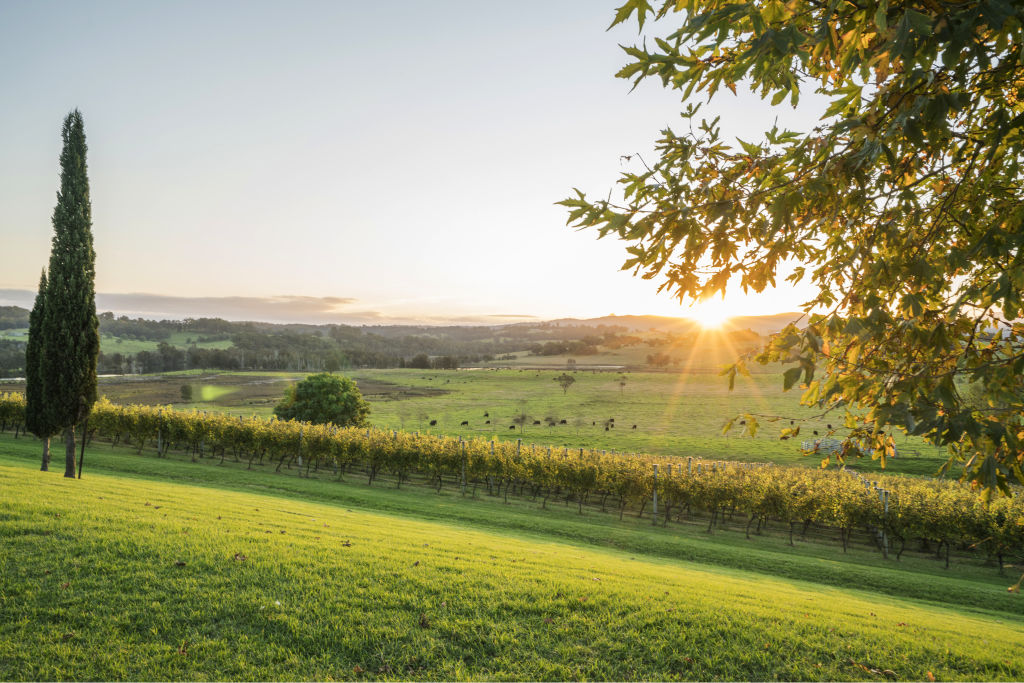 Ulladulla in the Shoalhaven region, which saw a boost in popularity between 2017 and 2018. Photo: Destination NSW