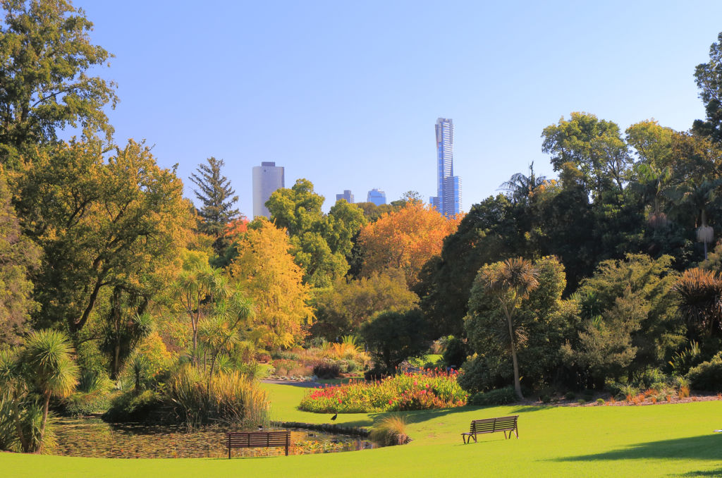 Royal Botanic Gardens. Photo: iStock