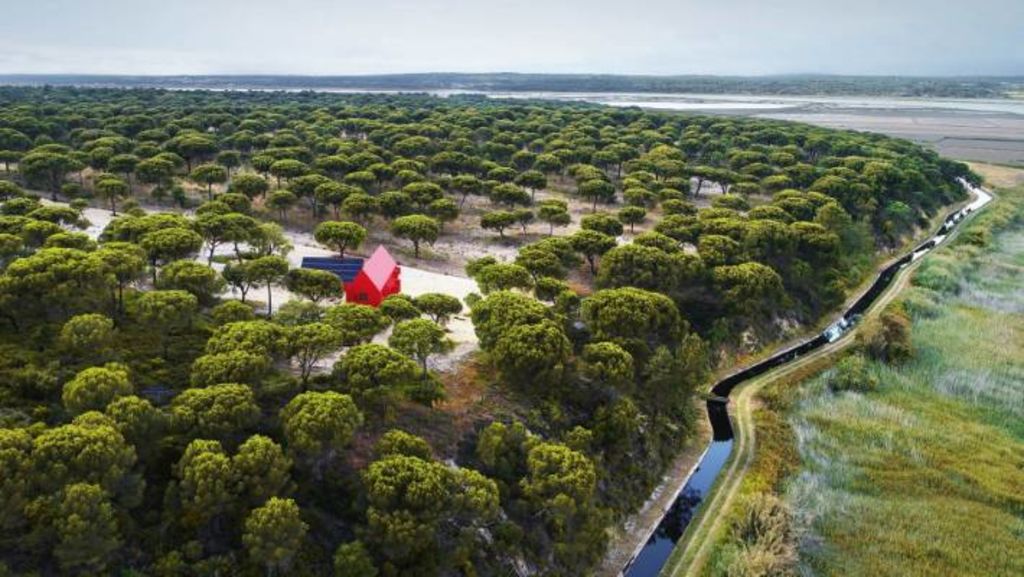 It's easy to see how the house could have been hard to find amid the cork trees and umbrella pines. Photo: João Guimarães - JG Photography, Carlos Cezanne, Tiago Rebelo de Andrade