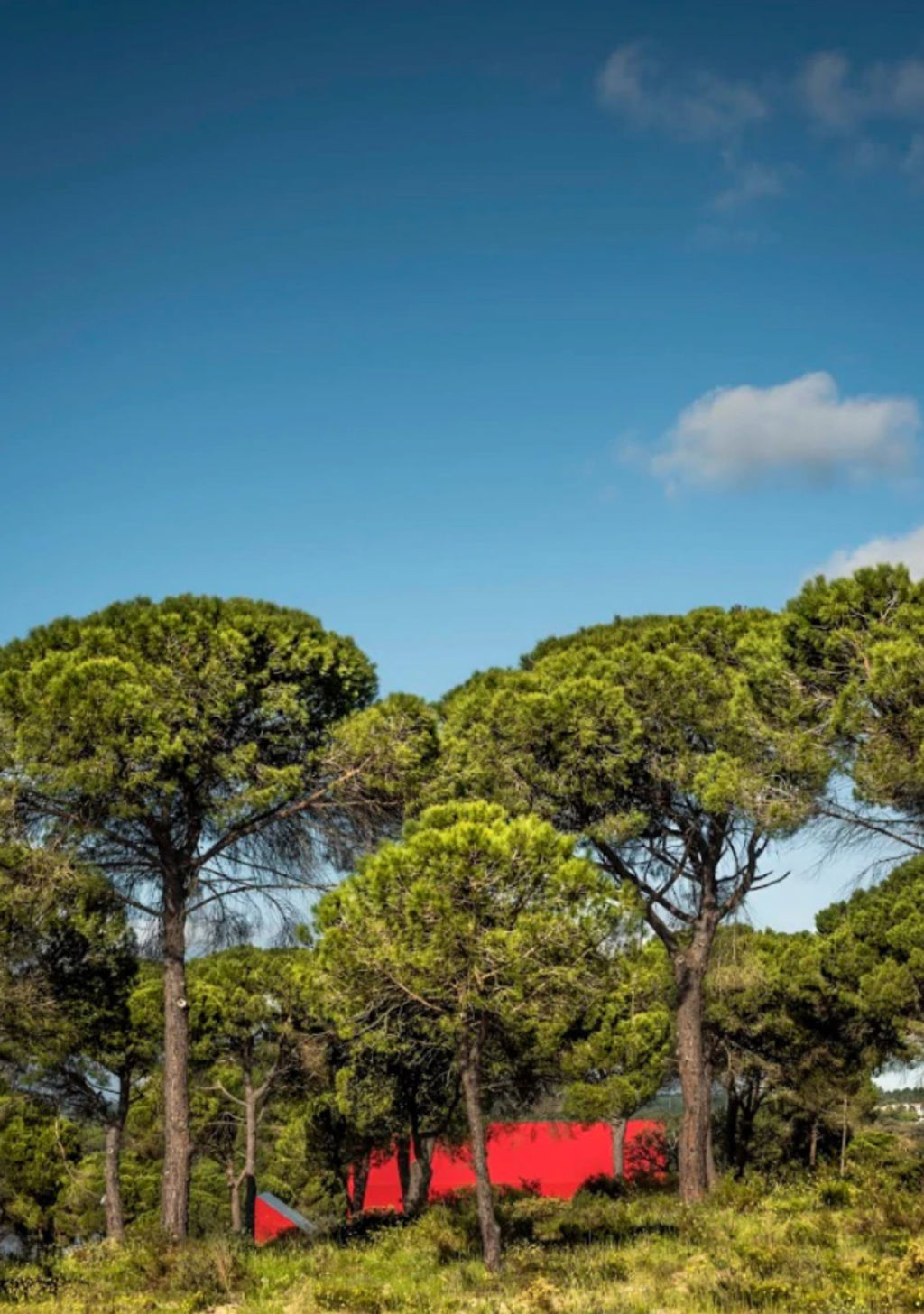 Flashes of red between the trees help to orientate someone out walking. Photo: João Guimarães - JG Photography, Carlos Cezanne, Tiago Rebelo de Andrade